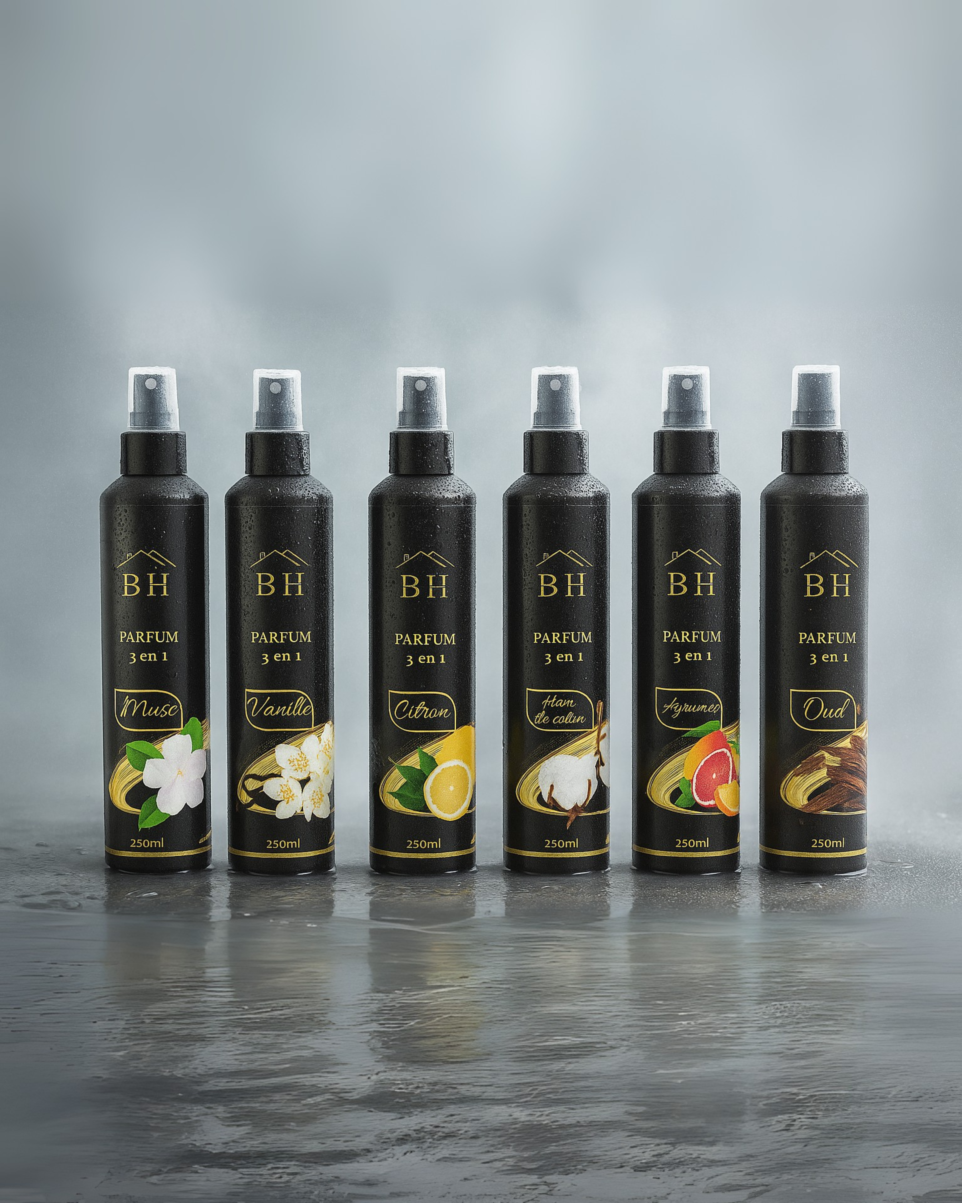 Pack de 6 Parfums d'Ambiance