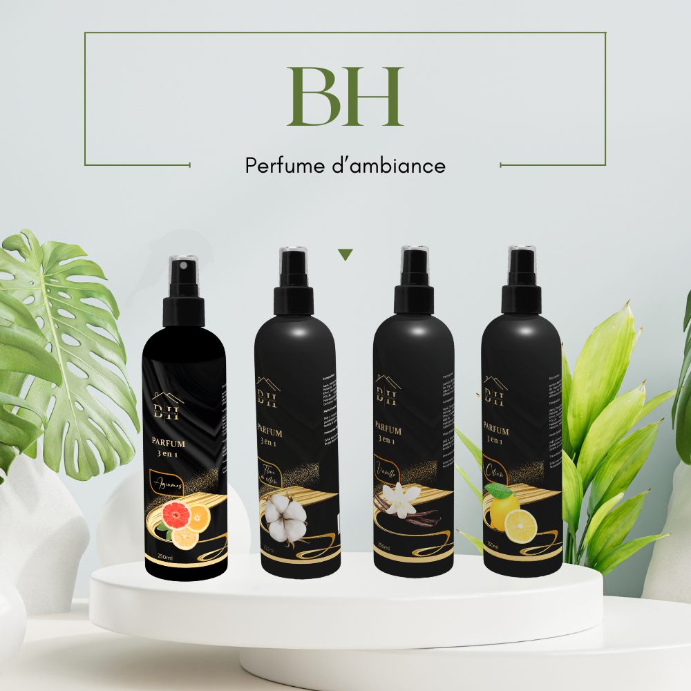 Pack de 4 Parfums d'Ambiance