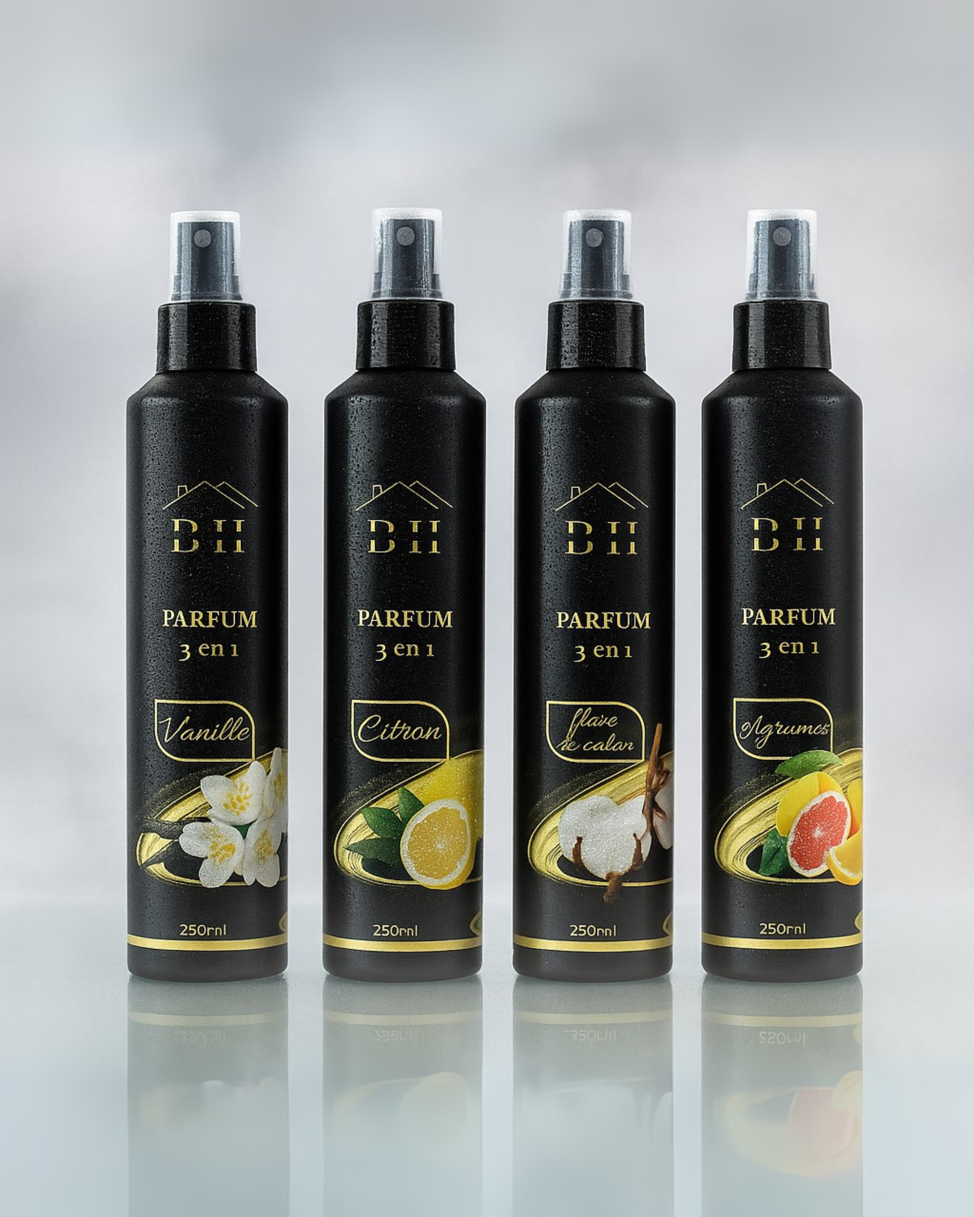 Pack de 4 Parfums d'Ambiance