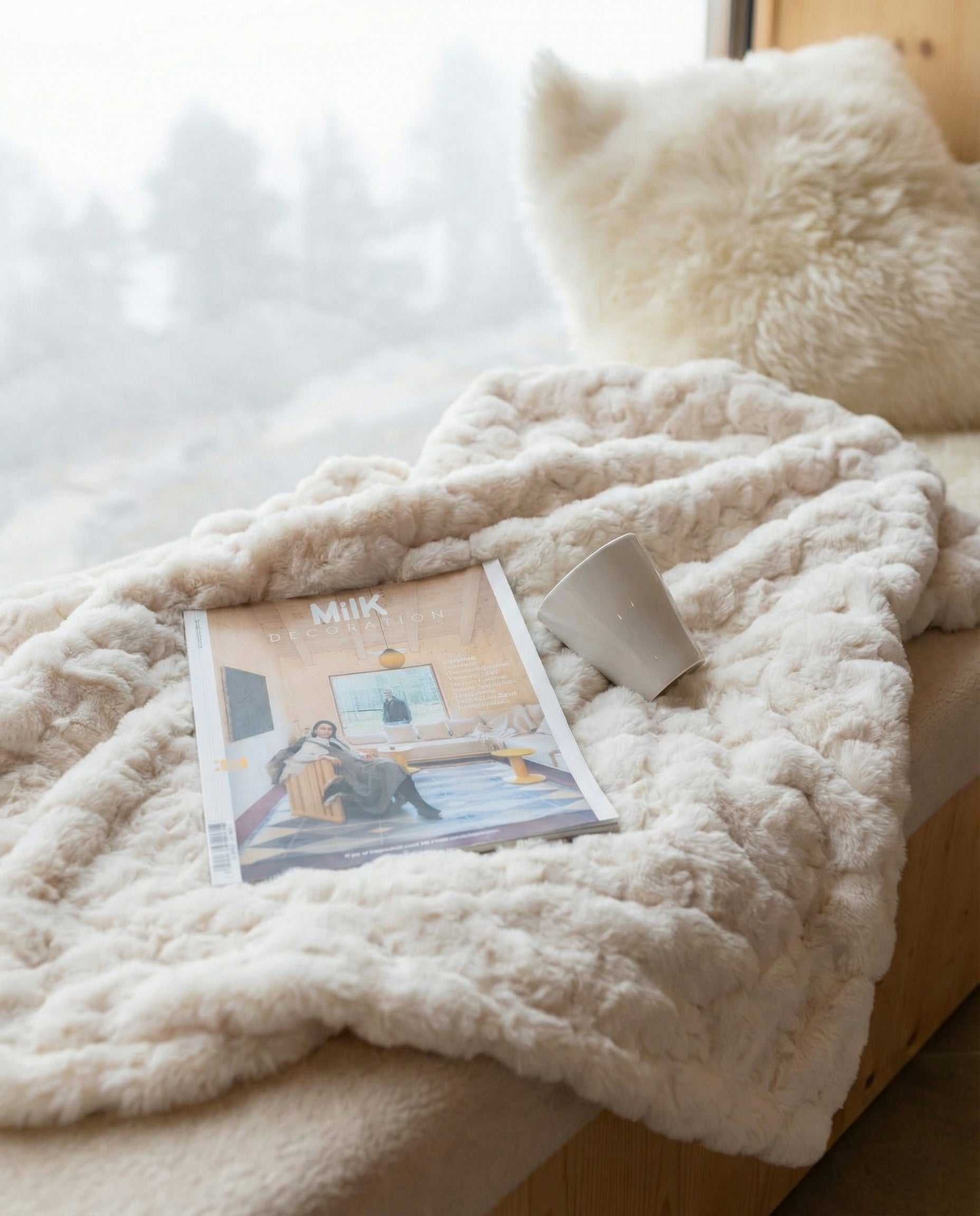 Plaid Douillet + 2 Coussins